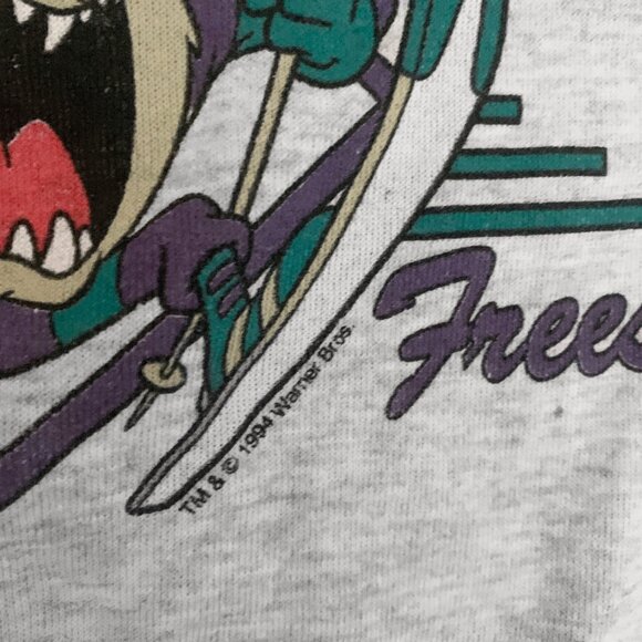 Vintage 1994 TAZ Looney Tunes on Tultex Distressed Sweatshirt - Picture 4 of 6